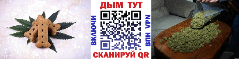 Cannafood конопля  где можно купить   Шахты 
