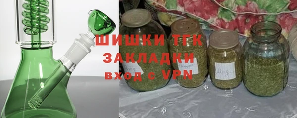 спиды Богородицк