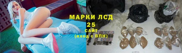 спиды Богородицк