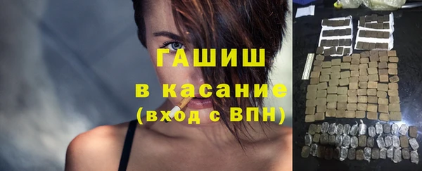 спиды Богородицк