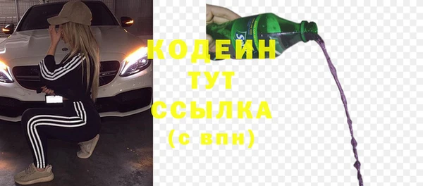спиды Богородицк