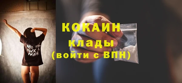 спиды Богородицк