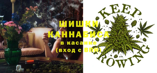 спиды Богородицк