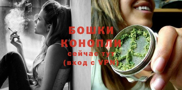 спиды Богородицк