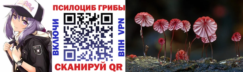 kraken   купить  сайты  Шахты  Галлюциногенные грибы мицелий 
